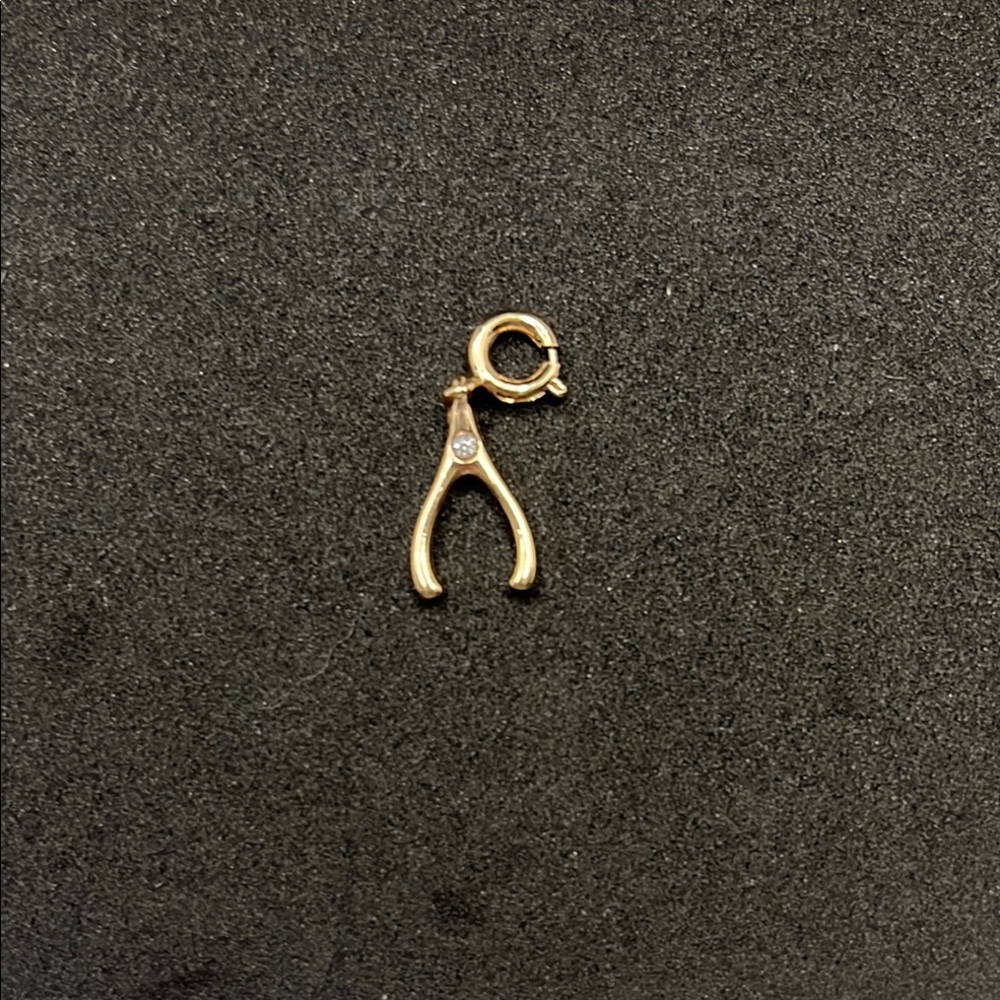 Gold Plated Wishbone Charm with Crystal Accent